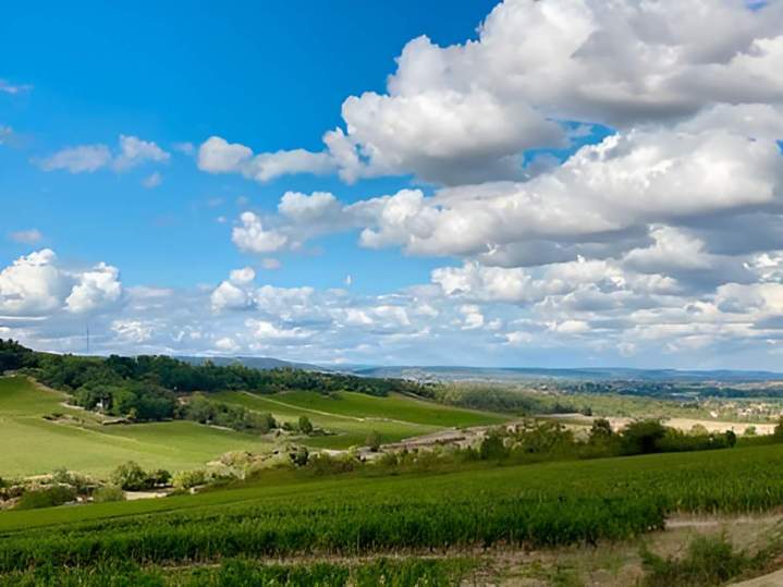 Domaine viticole Bouzeron