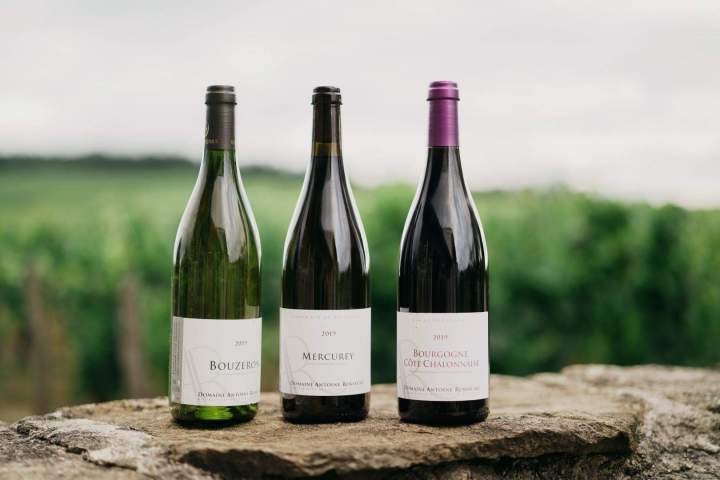 Fournisseur de Vin de Bourgogne Bouzeron