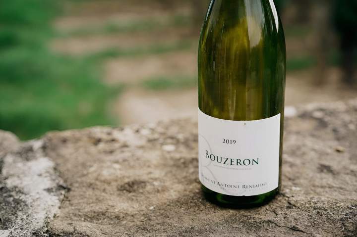 Vin Bouzeron 2019