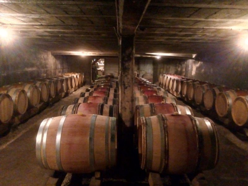 Producteur de vins Bouzeron