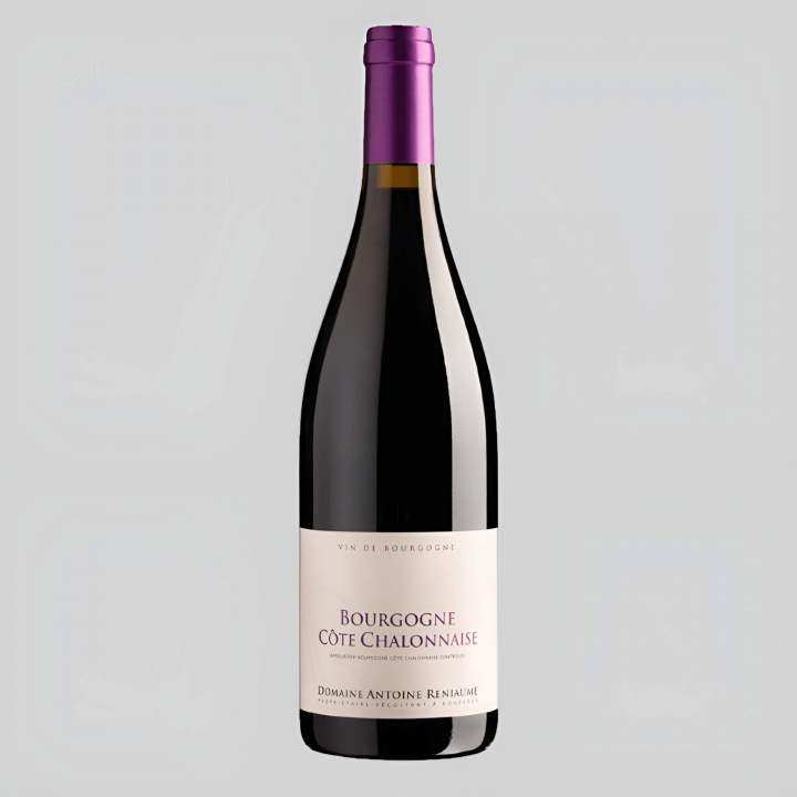 Fournisseur de vin de Bourgogne Bouzeron