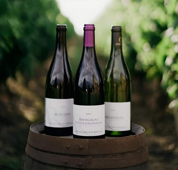 Terroir viticole Bouzeron