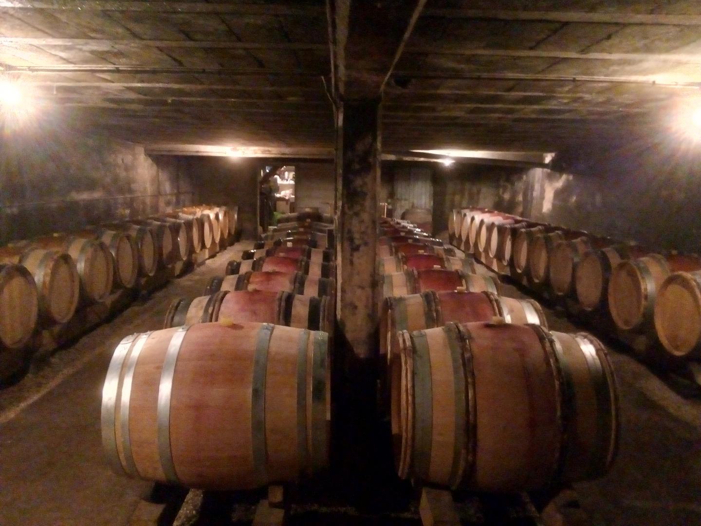 Vins de terroir Rully