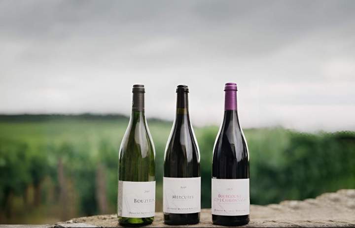 Viticulteur Bouzeron