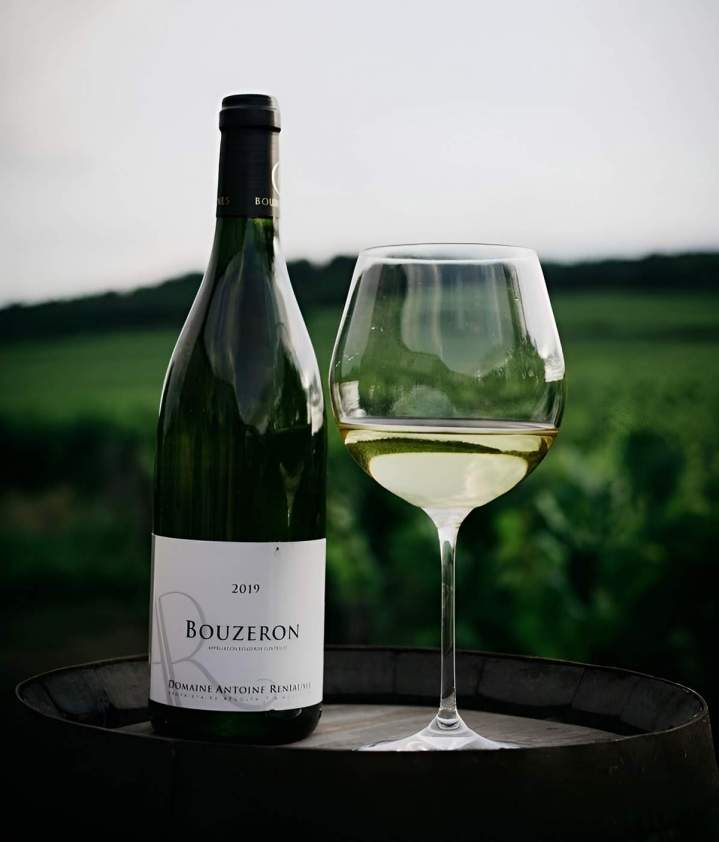 Producteur de vins Bouzeron