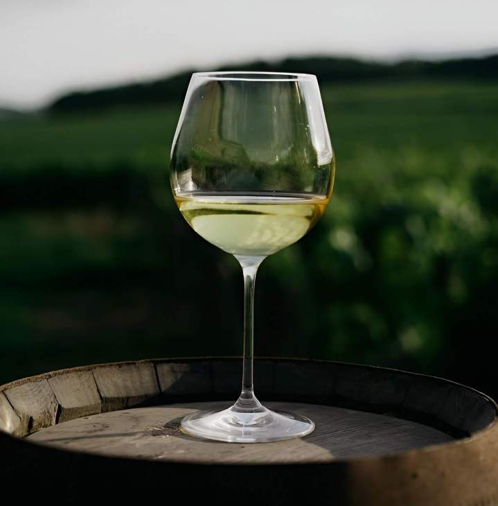 Fournisseur de vin Bouzeron