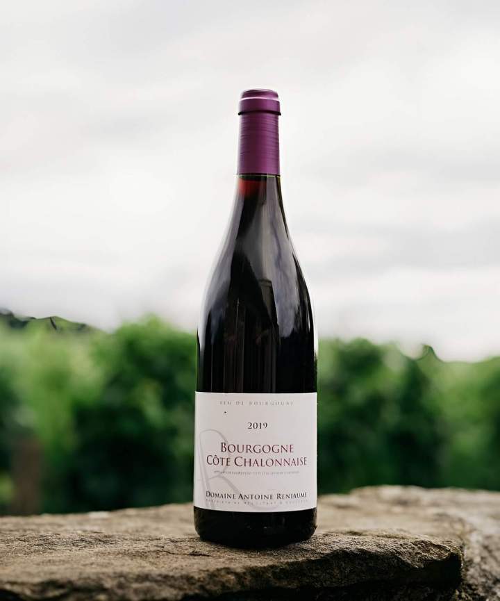 Producteur de Vins de Bourgogne