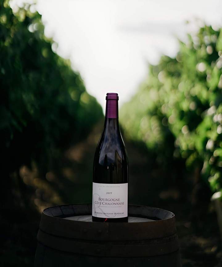 Fournisseur de vin de Bourgogne Bouzeron
